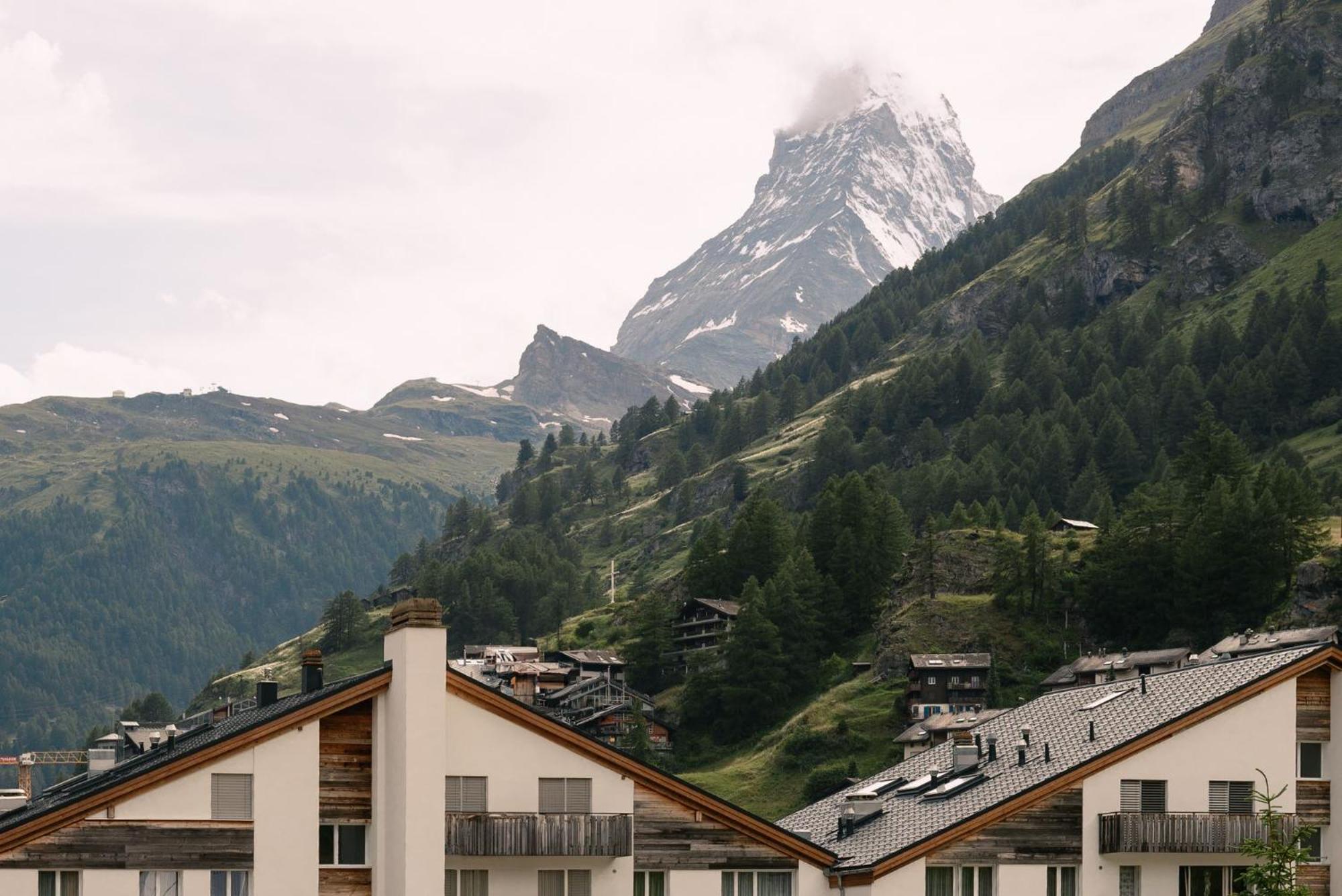 Schloss - Cbd & Adaptogenic And Sport Hotel